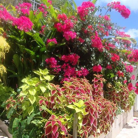 Residence Madelia Port-Louis Esterno foto