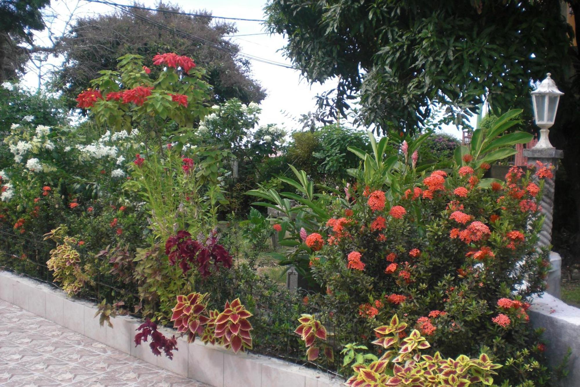 Residence Madelia Port-Louis Esterno foto