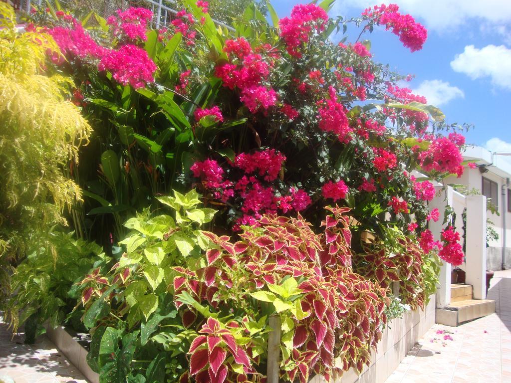 Residence Madelia Port-Louis Esterno foto